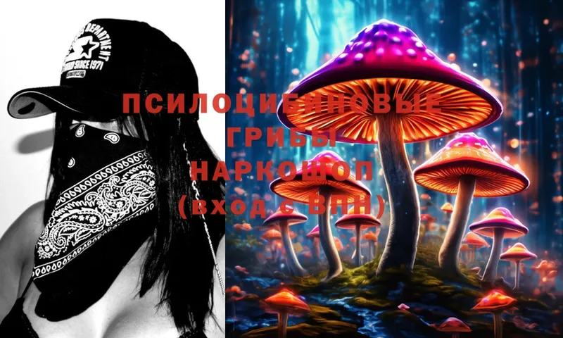 Псилоцибиновые грибы Psilocybe  omg tor  Короча  купить наркоту 