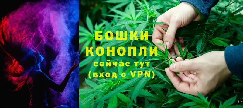 shop как зайти  где найти   Короча  МАРИХУАНА Ganja 